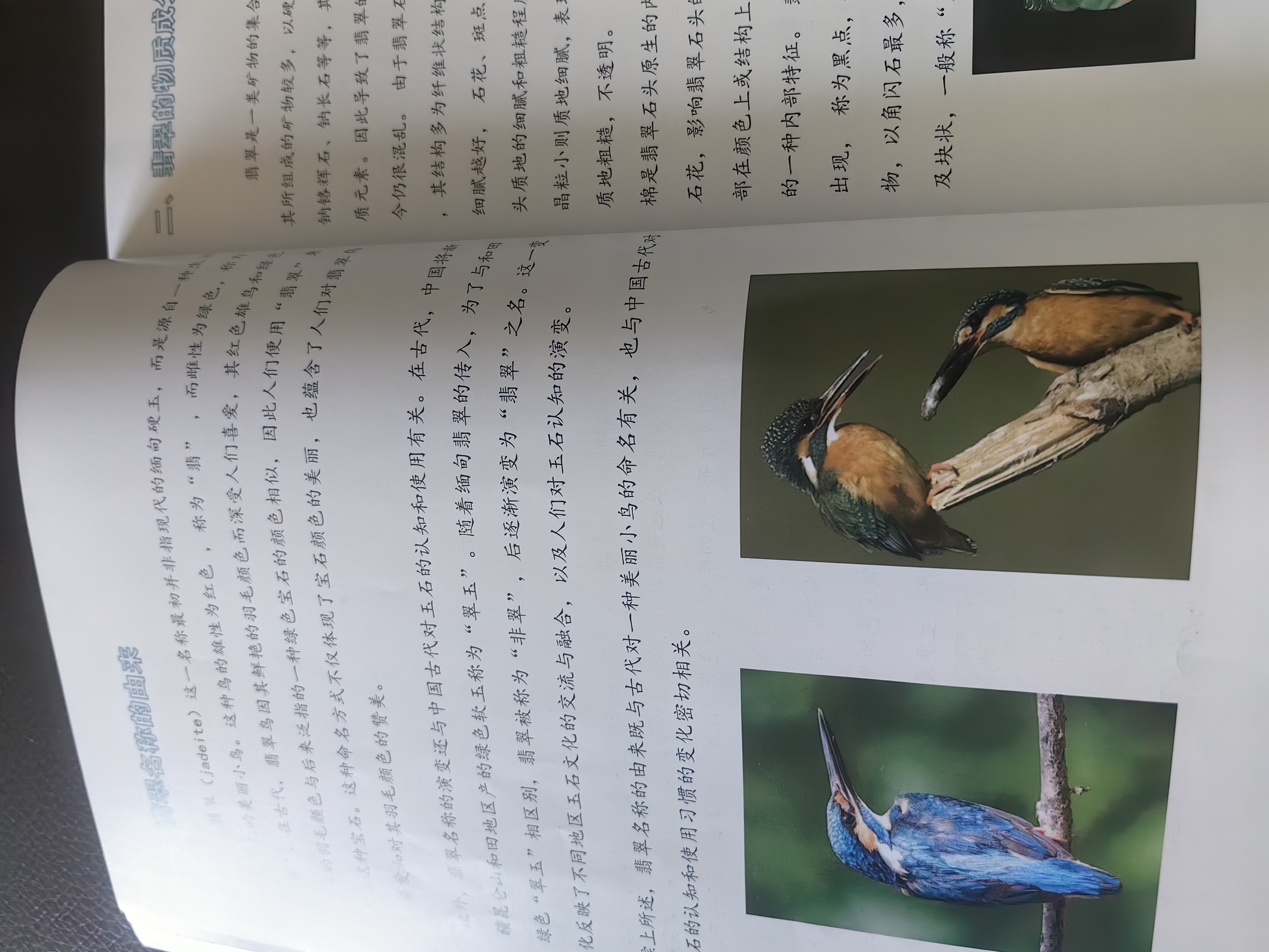 书籍《翡翠知识学习指南》
